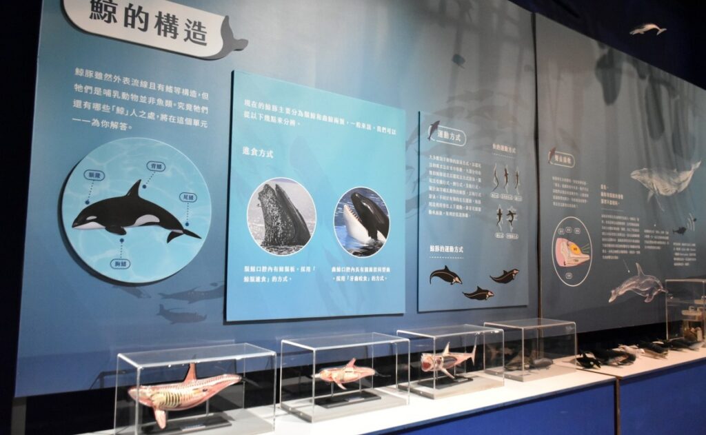 「南瀛海洋保育教育中心」