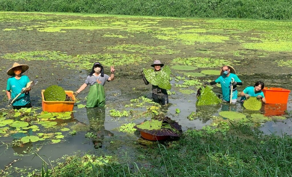 因保護一個物種「水雉」而串連起來