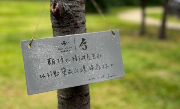 [雲品] 負碳排專案種樹