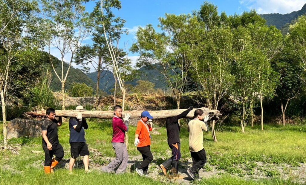 勇士與漂流木