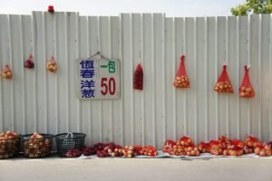 包子逸