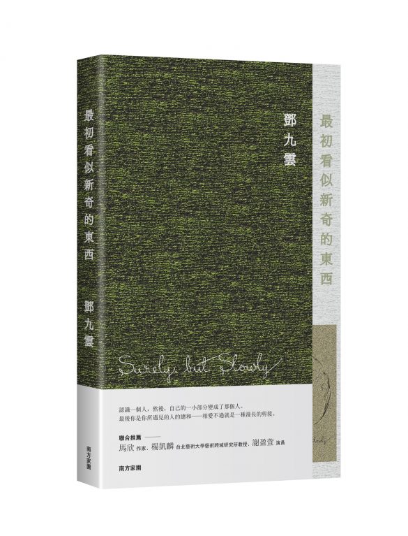 《最初看似新奇的東西》，鄧九雲，南方家園