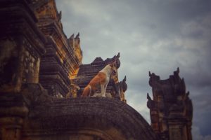Photo by Maung Thuu on Unsplash