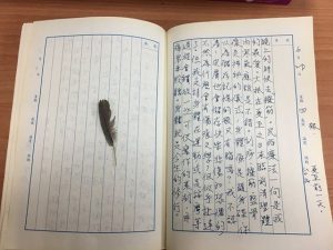 手寫日記｜六月｜騷夏｜6/20