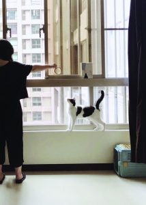 聯合文學─張西「靈感角落」─綠燈也停