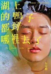 《湖上的鴨子都到哪裡去了》，朱宥勳，大塊文化